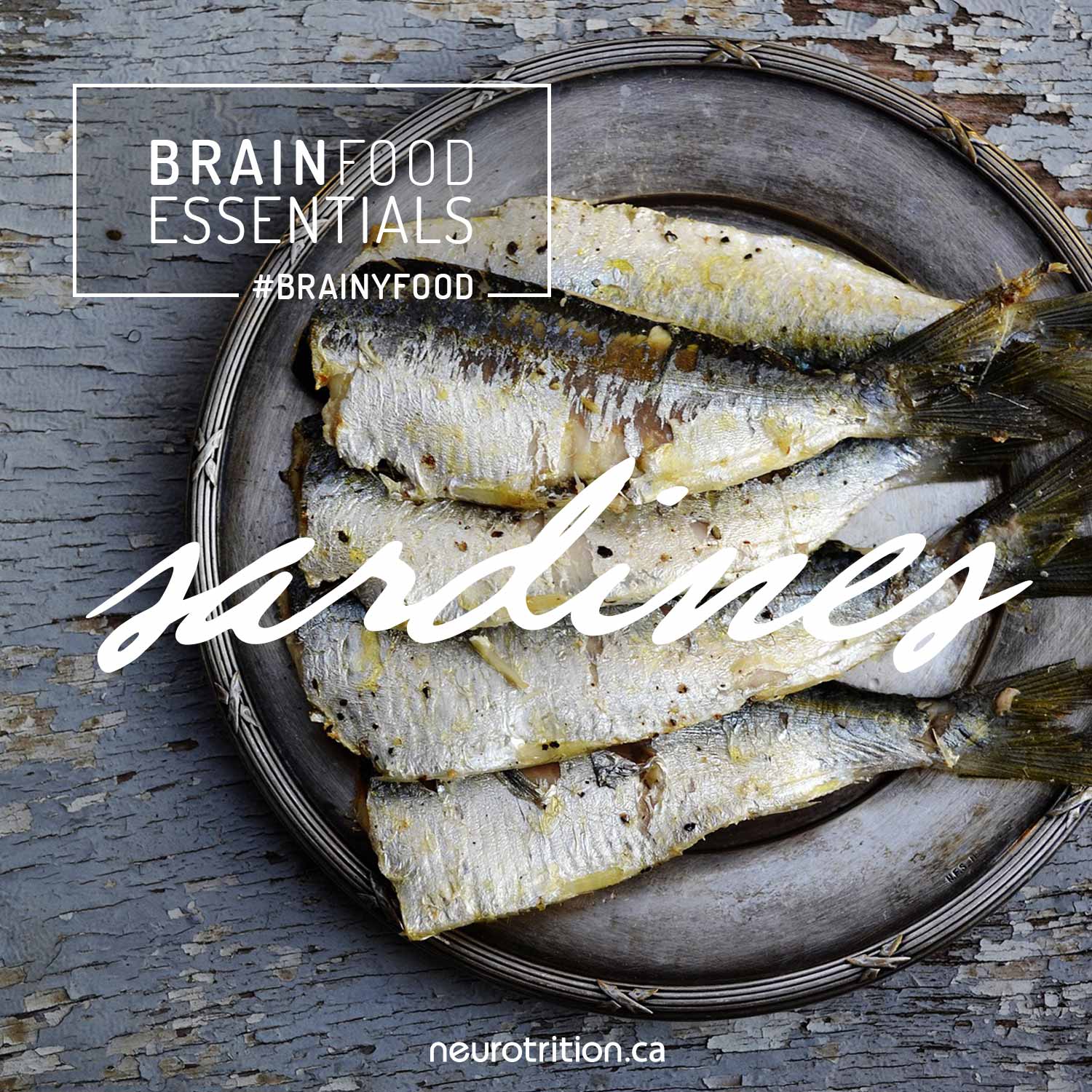 Brain Food Essentials: Sardines Brain Food Essentials: Sardines