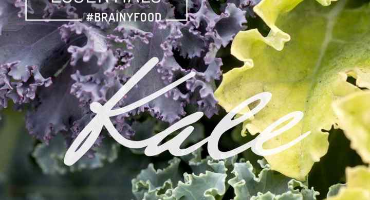 Brain Food Essentials :: Kale