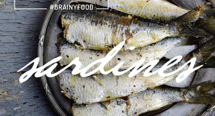 Brain Food Essentials: Sardines Brain Food Essentials: Sardines